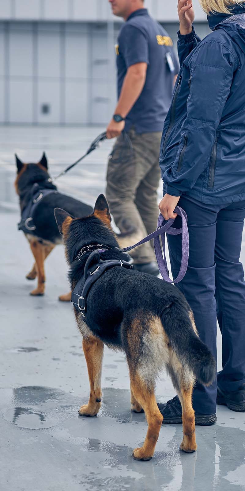 Seguridad con unidades Caninas
